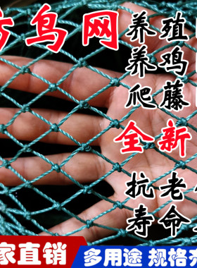 防鸟加厚果园鱼塘养殖网