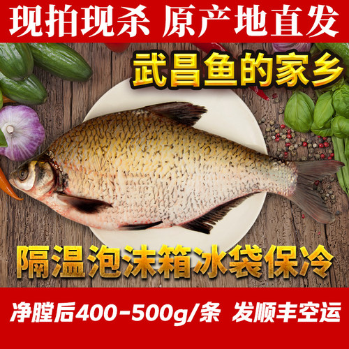 湖北鄂州现杀现发武昌鱼顺丰发货
