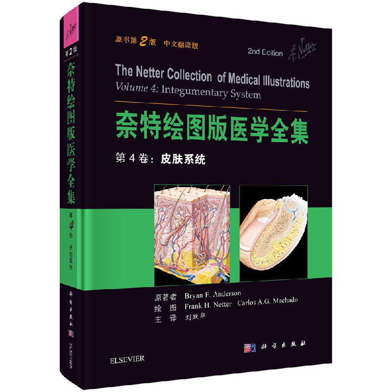 正版现货 皮肤系统 奈特绘图版医学全集第4卷 原书第2版 中文翻译版 基础科学与临床医学融会贯通 人体皮肤系统解剖 科学出版社