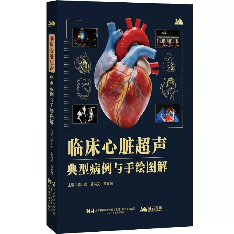 临床心脏超声典型病例与手绘图解