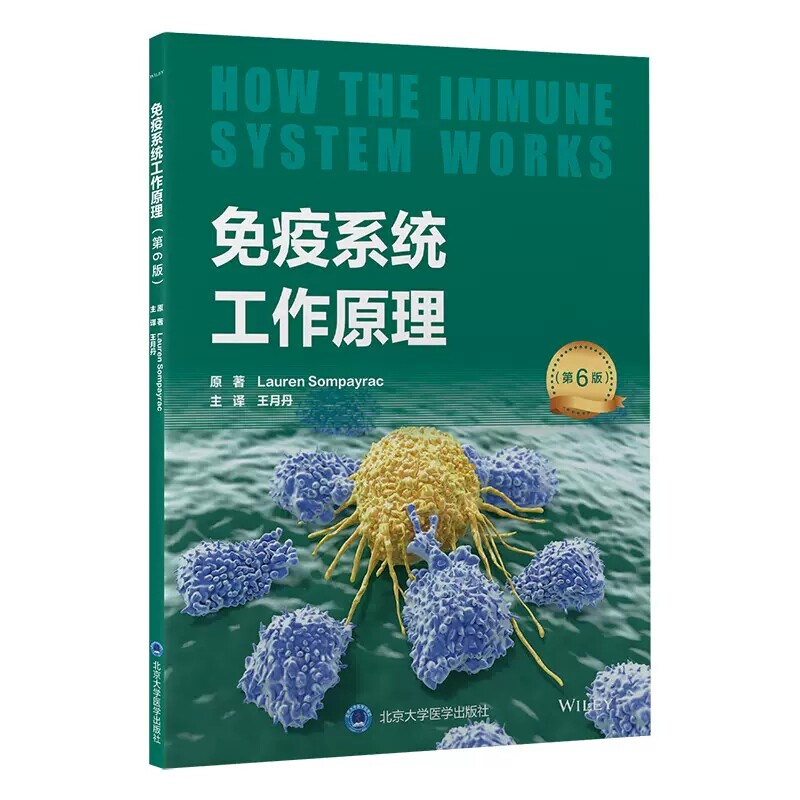 正版现货限地包邮限地包邮