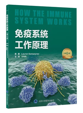 正版现货限地包邮限地包邮