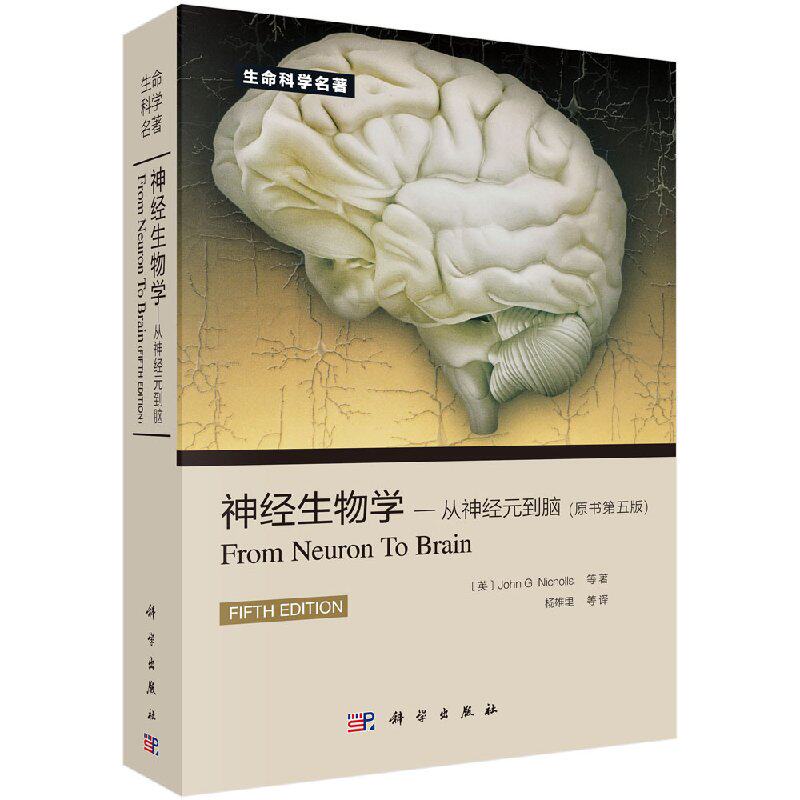 神经生物学从神经元到脑 原书第5版 中文翻译版 尼克尔斯 杨雄里译 生命科学名著丛书神经细胞脑科学基础书籍神经医学 科学出版社