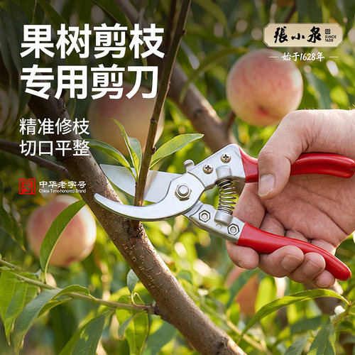 张小泉果树剪枝专用剪刀SK5钢花卉修枝剪盆景绿植剪园艺摘果剪