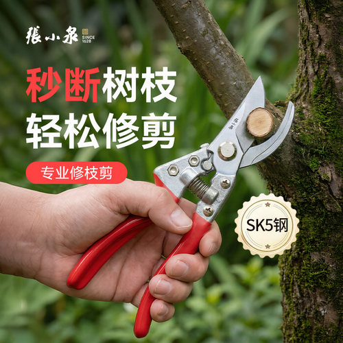 张小泉园艺剪刀修剪树枝专用剪刀