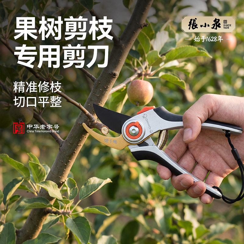 张小泉果树剪枝专用剪刀修枝摘果剪锋利花卉盆景造型园林花艺剪刀