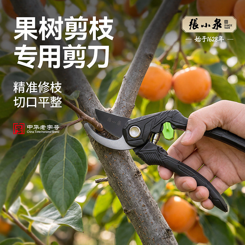 张小泉果树剪枝专用剪刀修枝摘果剪锋利花卉盆景造型园林花艺剪刀
