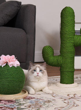 爆款网红剑麻仙人掌猫树猫爬架猫抓板宠物用品多品牌合集zeze