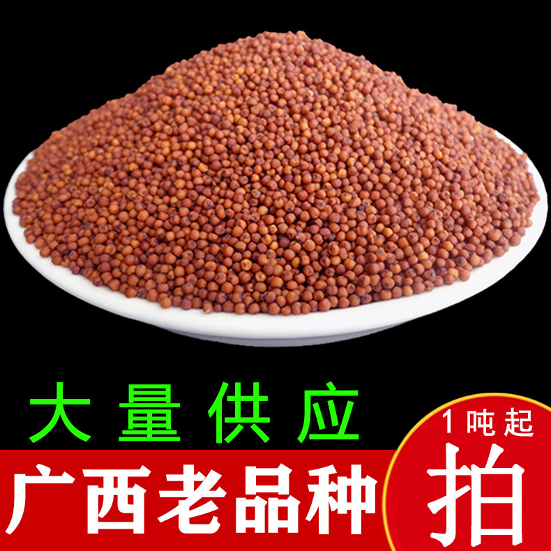 广西农产品杂粮鸭脚粟鸭爪粟龙爪粟红小米粒鸡爪拳头粟非玉林容县