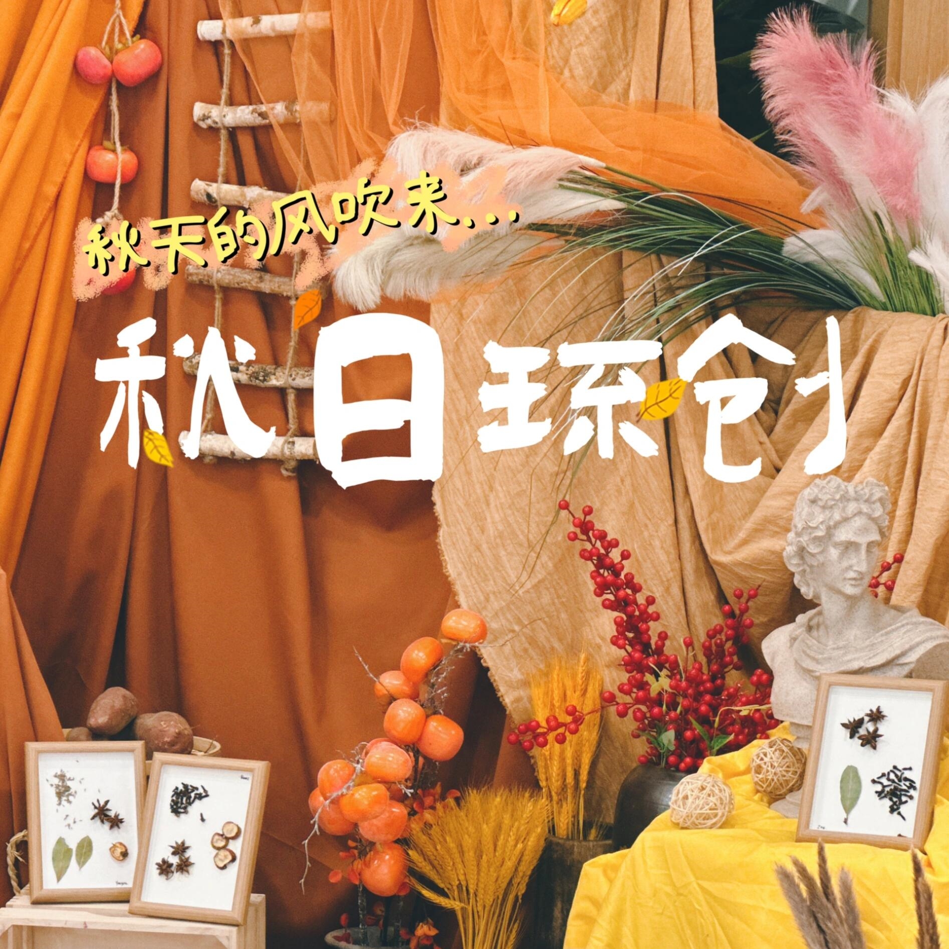 秋天美拉德黄色系布幔幼儿园秋天环创装饰晒秋布景黄色背景纱幔
