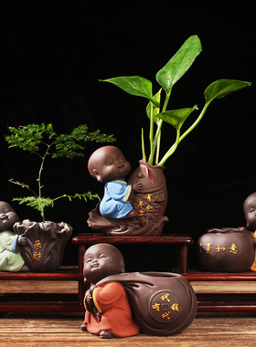 紫砂小和尚水培花创意绿萝室内装