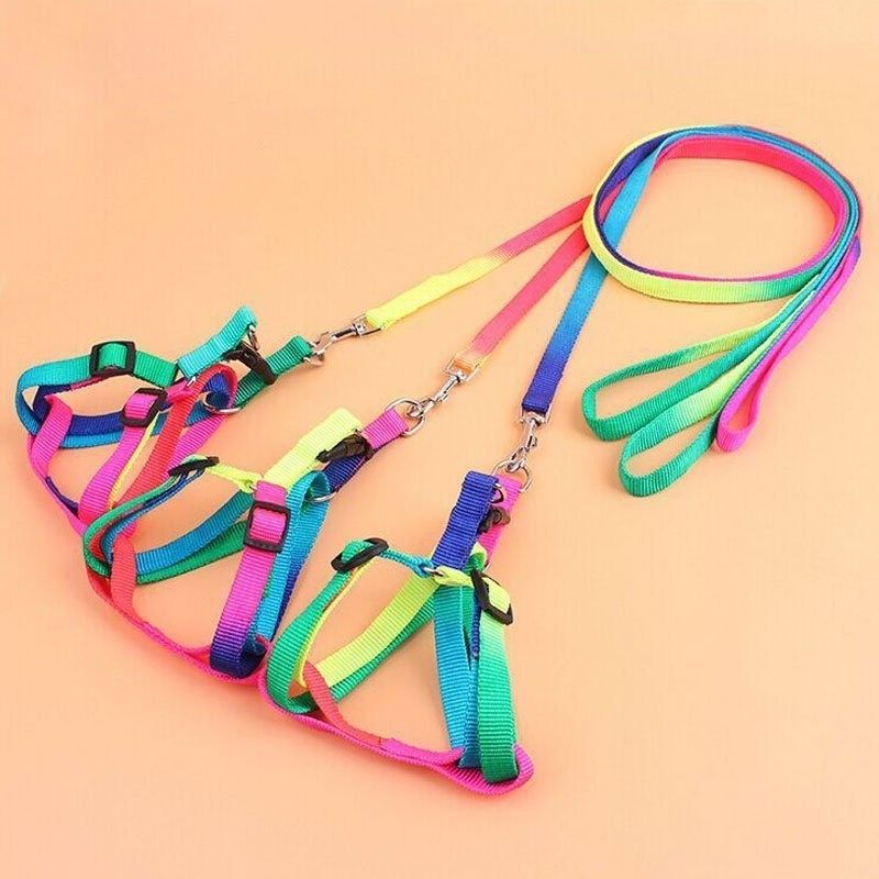 猫牵引绳七彩项圈胸背带小型犬狗牵引绳猫咪牵引带栓狗绳遛狗绳,宠物/宠物食品及用品,猫牵引绳,淘宝优惠券,粉丝福利购,淘宝优惠卷