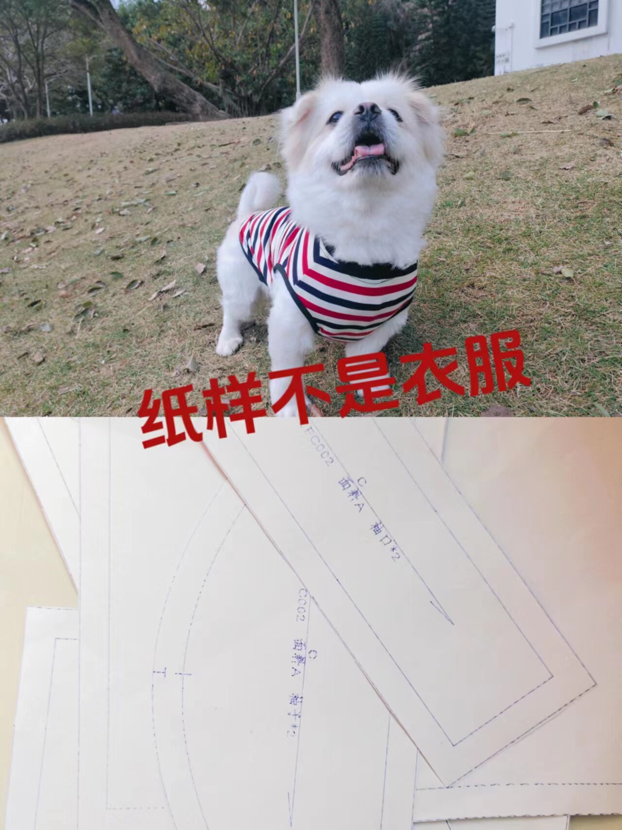 C001 宠物服装模板 狗狗背心纸样京巴串串服饰样板 DIY缝纫图纸