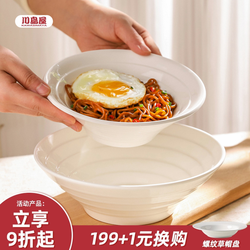 川岛屋面碗家用2025新款高级感