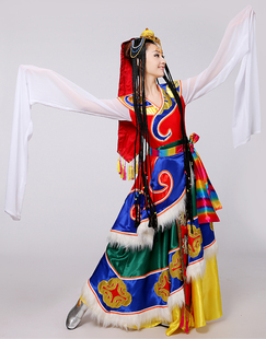 新款 藏族舞蹈演出服装 藏袍西藏舞服水袖 表演服饰女 民族舞蹈服水袖