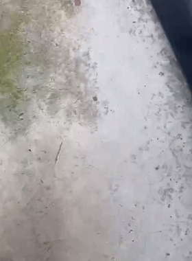 议价-TORO吹雪机，机动吹风机，落叶吹扫机，买来就用了一次，状