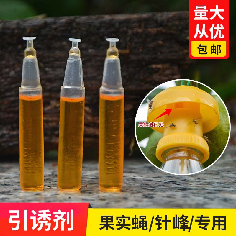 果蝇引诱剂药水桔小针锋