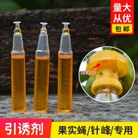 果蠅引誘劑藥水桔小針鋒