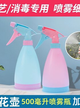 园艺工具糖果色喷壶洒水壶喷雾瓶