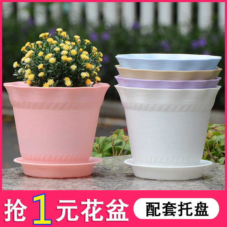 波浪花边多肉莲花盆全新塑料花盆送托盘大花盆栽绿植花盆盆栽植物