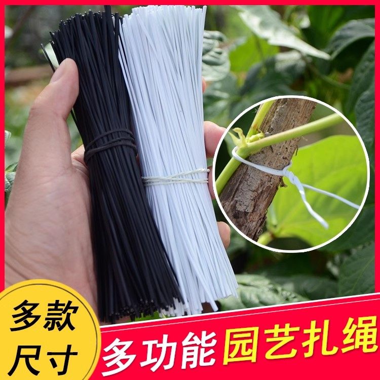 锌扎丝0.55包塑铁丝扎线电线光缆