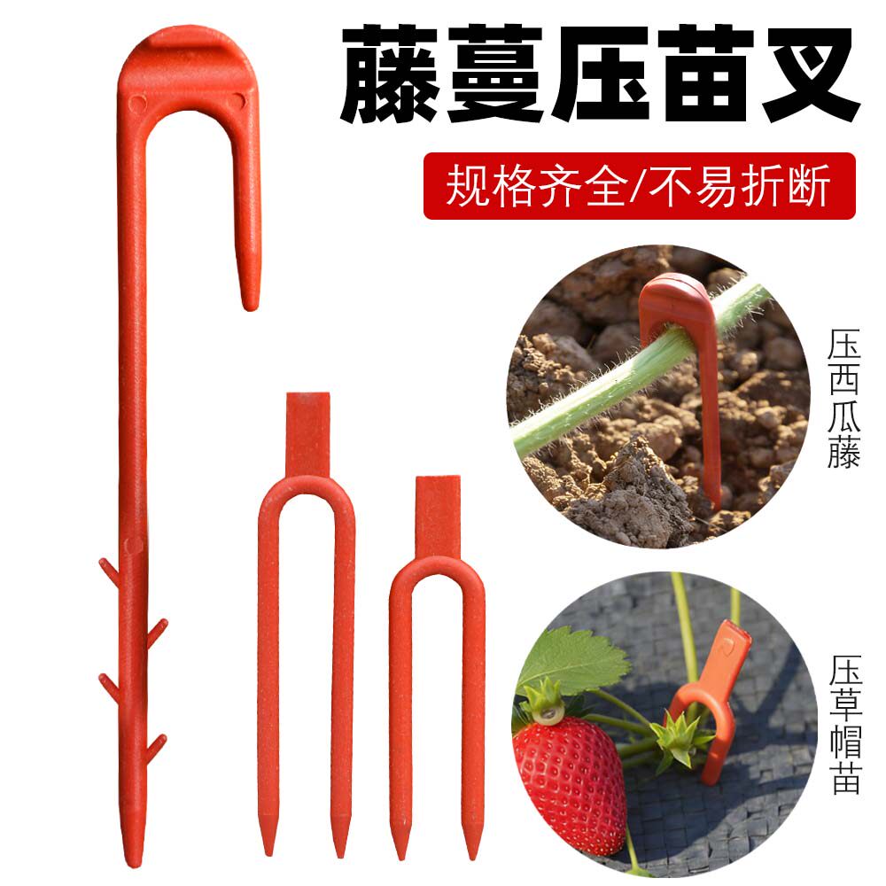 西瓜叉草莓叉甜瓜叉藤蔓育苗叉压苗叉子压茎叉农用大棚植物固定器