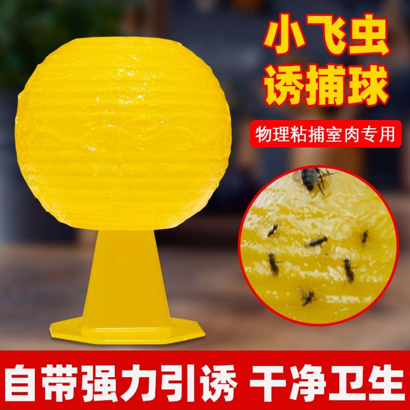 果蝇诱捕器果蝇苍蝇飞虫克星强力效粘虫球室内去除小黑飞