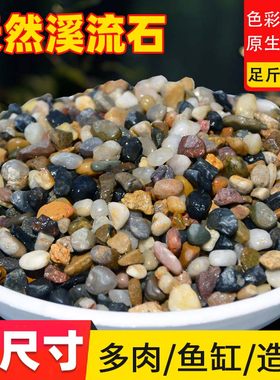 天然溪流石鱼缸底部砂石底石子