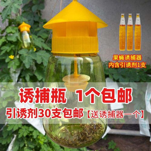 果蝇诱捕器引诱剂药水针锋诱捕