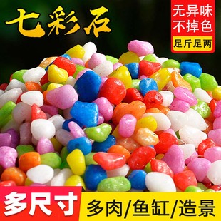 多肉园艺用品鱼缸石子五彩色石头彩石七彩色小石子沙子花盆栽装饰