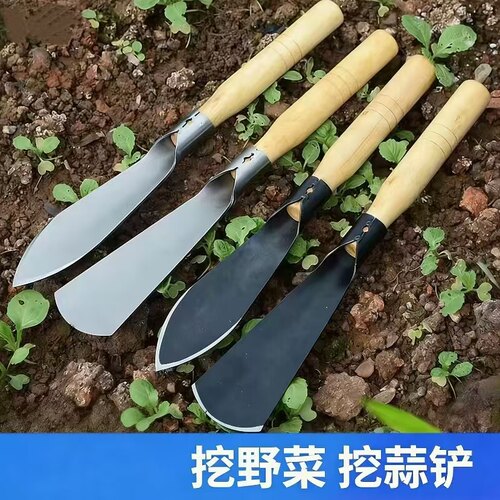 小铲子园林艺挖野菜铲种菜赶海