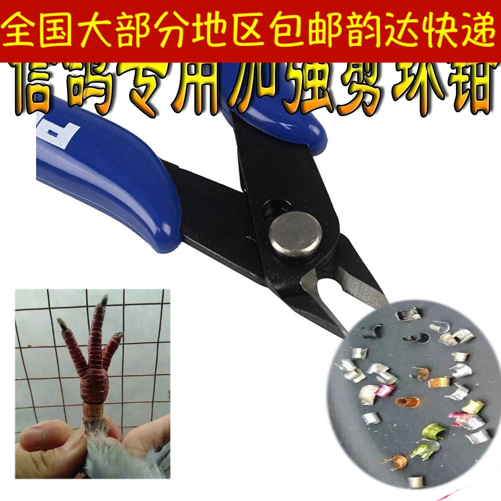 Dầu gan cá 250ml [Bao Guan] chim bồ câu cung cấp Dầu cá biển sâu thúc đẩy sự phát triển não bồ câu để bảo vệ thị lực - Chim & Chăm sóc chim Supplies lồng khướu