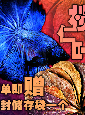 榄仁叶天然掉落懒人叶降低鱼缸PH值调整水质杀菌乌龟泰国斗鱼繁殖