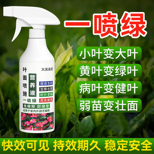 家庭园艺叶面肥花卉一喷绿营养液植物通用肥料免稀释盆栽多肉喷施