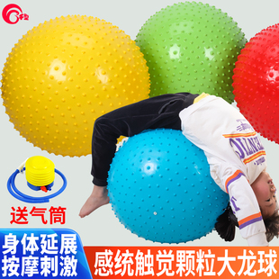 早教大龙球儿童前庭感统训练器材幼儿园平衡触觉瑜伽家用按摩玩具
