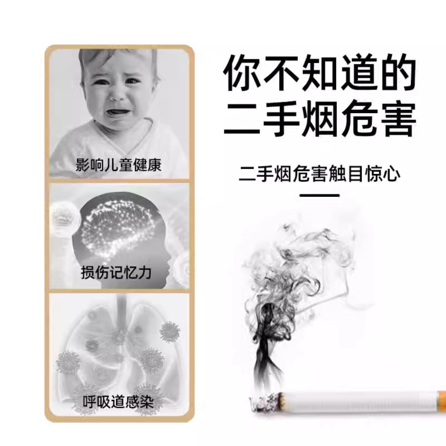 净烟魔盒除烟味空气净化器