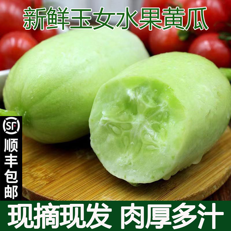 山东玉女黄瓜新鲜生吃新鲜水果黄黄瓜