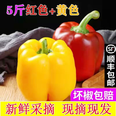 五彩椒红黄圆椒柿子椒蔬菜沙拉