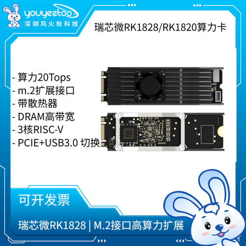 瑞芯微RK1828MC0 M.2卡 5G显存 AI计算卡