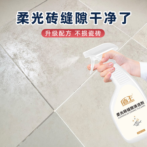 盾王柔光砖缝隙清洁剂