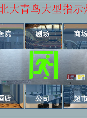 青鸟消防单面疏散出口12Z1A大型应急标志灯具600×195×20mm尺寸