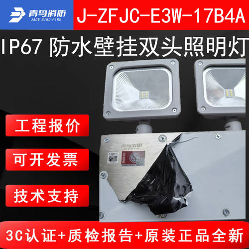 北大青鸟消防J-ZFJC-E3W-17B4A青鸟IP67防水壁挂双头照明灯具3W灯