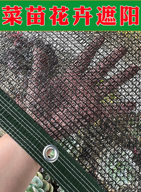 蔬菜苗育苗秧苗种子遮阴防晒网4针防晒网花卉家庭黑色多肉兰花