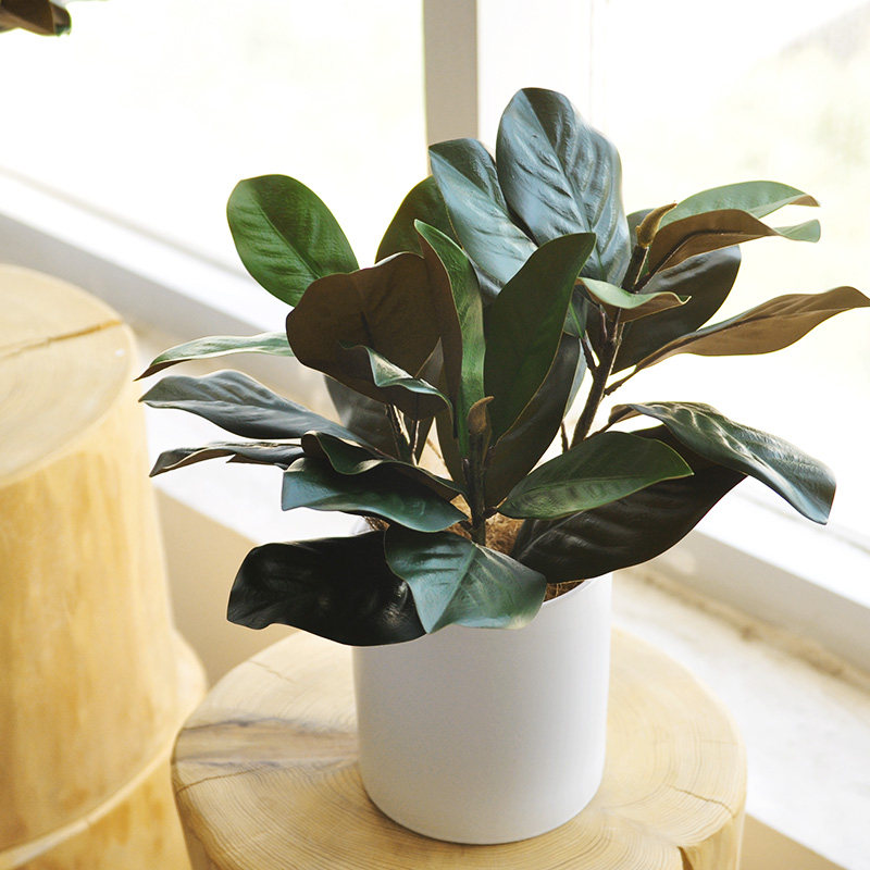 仿真绿植桌摆 广玉兰枝叶植物家居装饰 办公绿化盆栽盆景 art404