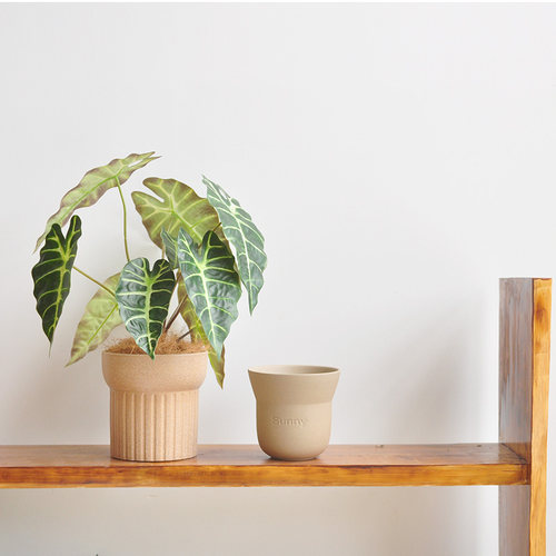 仿真观叶植物家居装饰桌面摆件