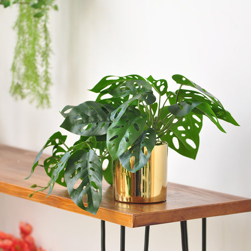 九思仿真植物仙洞龟背垂吊盆栽