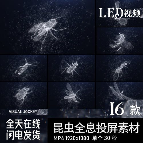 裸眼3D投影昆虫蜻蜓螳螂蜜蜂蜘蛛天牛甲虫蚂蚁led视频素材