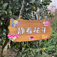 Solid wood decorative signboards for home balconies, gardens and courtyards, DIY solid wood wall hangers, creative doorplates for my little courtyard thumbnail 7