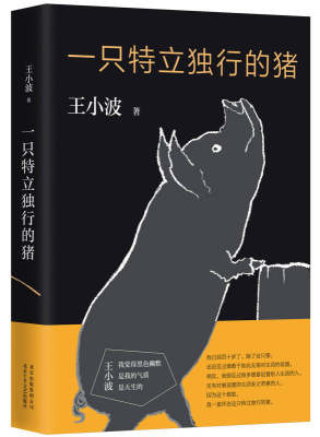 一只特立独行的猪王小波