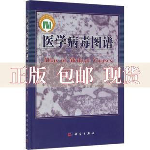 社 书 医学病毒图谱洪涛王健伟宋敬东科学出版 包邮 正版